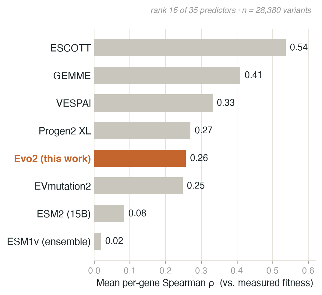 Horizontal bar chart of mean per-gene Spearman correlation for Evo2 and seven published protein variant-effect predictors, with Evo2 highlighted and placed mid-pack