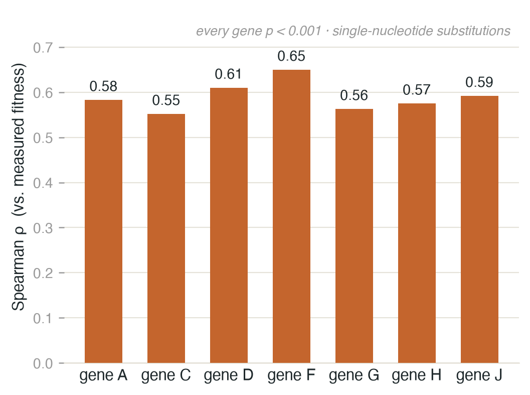 Bar chart of Spearman correlation between Evo2's nucleotide-level predictions and measured fitness, ranging 0.55 to 0.65 across seven genes