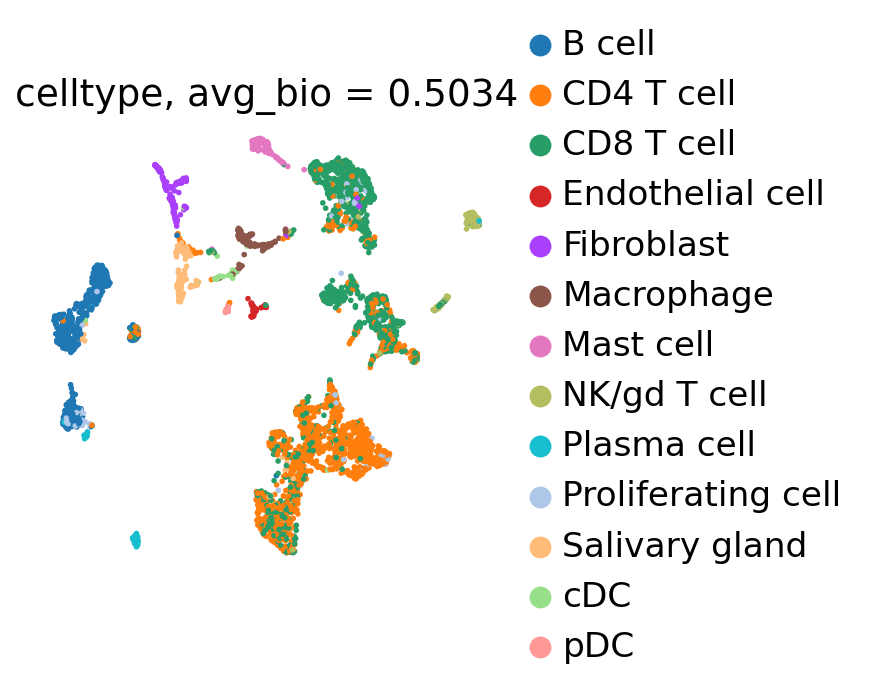 UMAP of HNSCC cells colored by cell type, frozen bone-marrow-tuned config