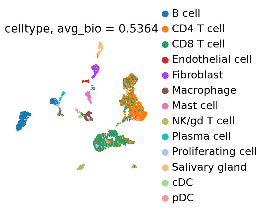 UMAP of HNSCC cells colored by cell type, dataset-specific optimum config