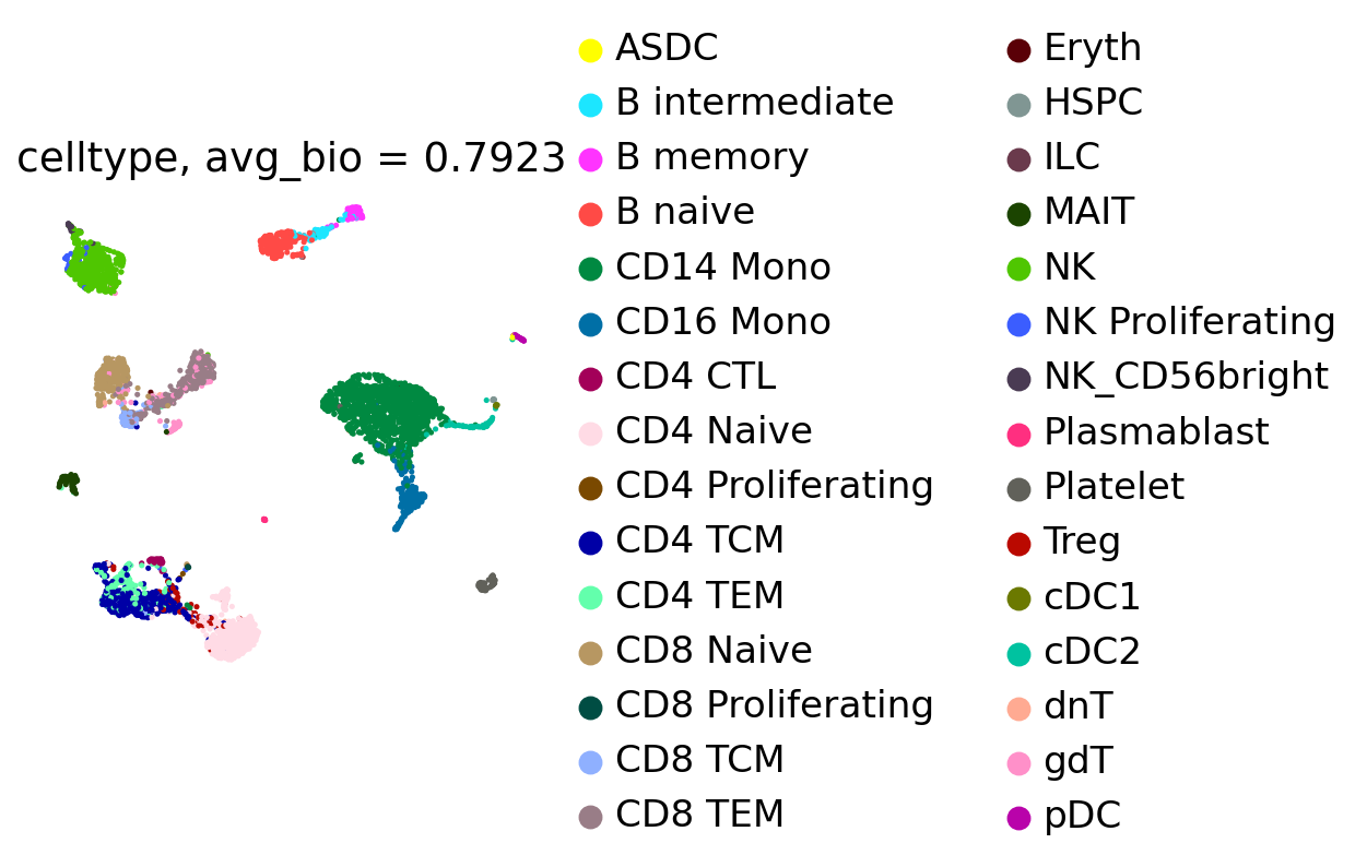 UMAP of PBMC cells colored by cell type, frozen bone-marrow-tuned config